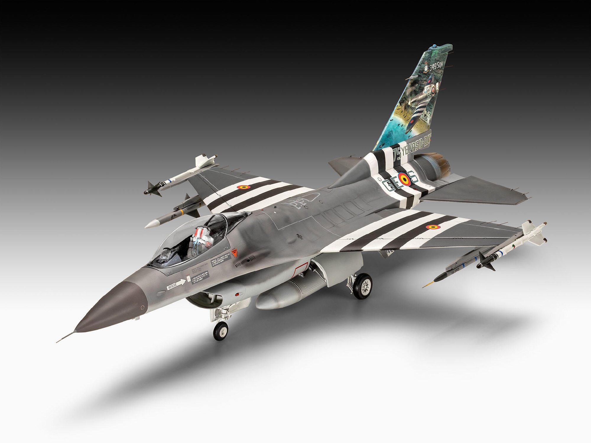 RE3802  F-16 Falcon – 50-jarig jubileum