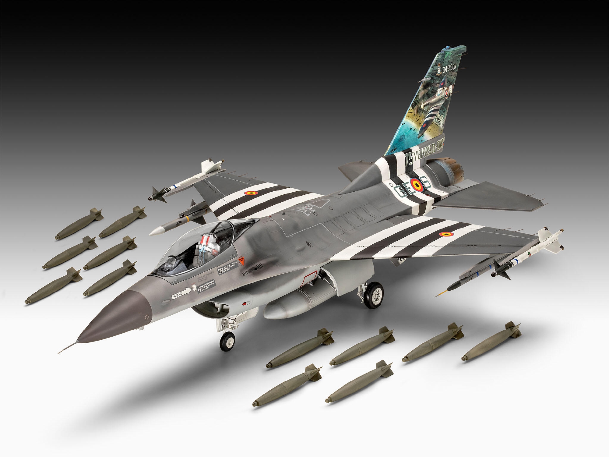 RE3802  F-16 Falcon – 50-jarig jubileum