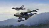 RE3801  Tornado Twin Pack 50th Anniversary Panavia Tornado